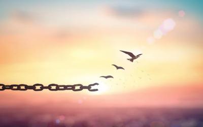 D.12 Enlaces art. Sección Desarrolladores.-